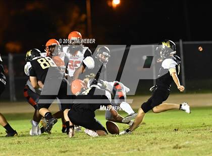 Thumbnail 2 in Zephyrhills @ Mitchell (Scrimmage) photogallery.