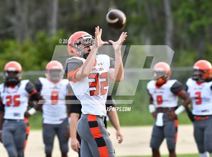 Thumbnail 1 in Zephyrhills @ Mitchell (Scrimmage) photogallery.