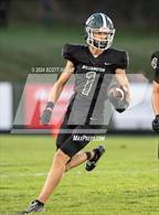 Photo from the gallery "Haslett @ Williamston"