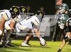 Photo from the gallery "Haslett @ Williamston"