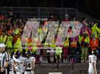 Photo from the gallery "Haslett @ Williamston"