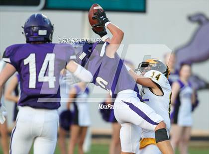 Thumbnail 1 in Vianney @ Fayetteville photogallery.