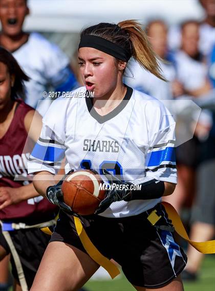 Thumbnail 1 in Riverview vs. Brandon (Bloomingdale Tournament) photogallery.