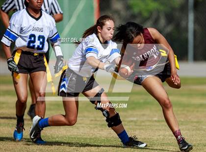 Thumbnail 1 in Riverview vs. Brandon (Bloomingdale Tournament) photogallery.