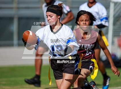 Thumbnail 3 in Riverview vs. Brandon (Bloomingdale Tournament) photogallery.