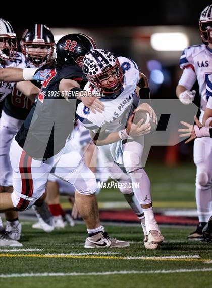 Thumbnail 2 in Las Plumas @ Foothill photogallery.