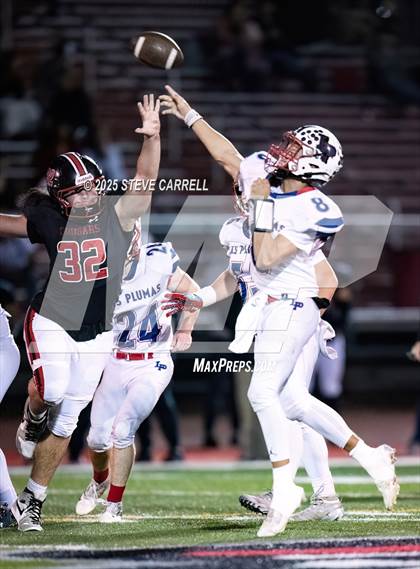 Thumbnail 1 in Las Plumas @ Foothill photogallery.