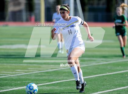Thumbnail 3 in Notre Dame vs. Leigh (CIF CCS D2 Final) photogallery.