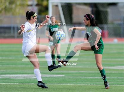 Thumbnail 1 in Notre Dame vs. Leigh (CIF CCS D2 Final) photogallery.