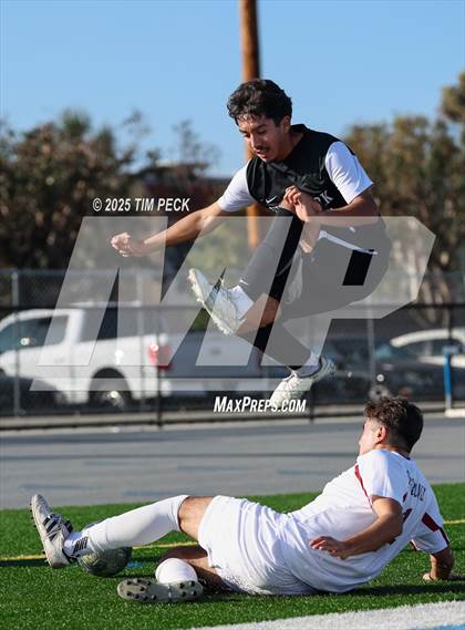 Thumbnail 3 in Esperanza @ Villa Park photogallery.