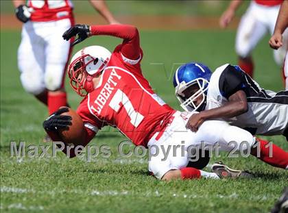 Thumbnail 2 in Rondout Valley @ Liberty photogallery.