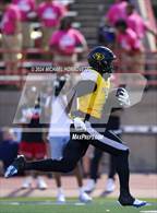 Photo from the gallery "St. Frances Academy @ Duncanville"