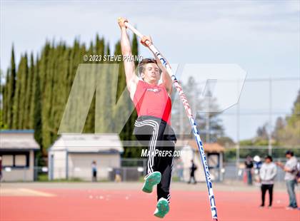 Thumbnail 3 in Herd Roundup @ Elk Pole Vault photogallery.