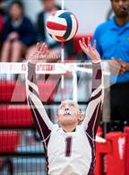 Photo from the gallery "Central @ St. Joseph's Academy"