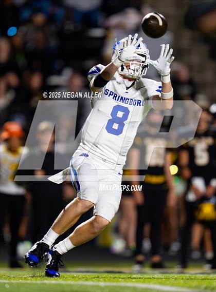 Thumbnail 3 in Springboro @ Centerville photogallery.