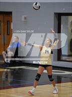 Photo from the gallery "Perrin-Whitt vs. Alvord (Poolville Tournament)"