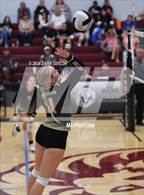 Photo from the gallery "Perrin-Whitt vs. Alvord (Poolville Tournament)"