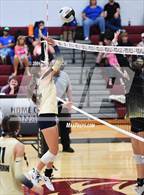 Photo from the gallery "Perrin-Whitt vs. Alvord (Poolville Tournament)"