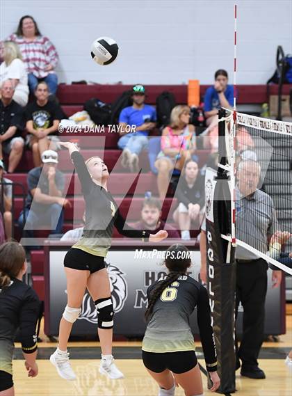 Thumbnail 1 in Perrin-Whitt vs. Alvord (Poolville Tournament) photogallery.