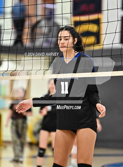 Thumbnail 1 in Gateway vs Alameda photogallery.