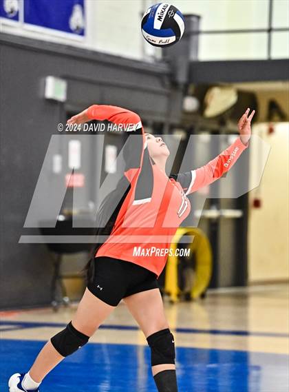 Thumbnail 1 in Gateway vs Alameda photogallery.