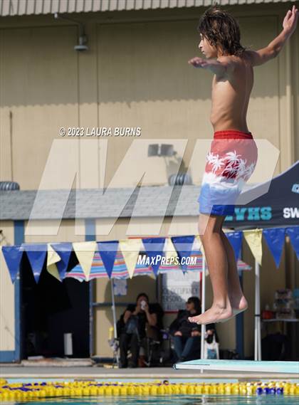 Thumbnail 1 in Evergreen Valley @ Leland (Diving) photogallery.