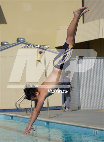 Thumbnail 2 in Evergreen Valley @ Leland (Diving) photogallery.