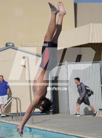 Thumbnail 2 in Evergreen Valley @ Leland (Diving) photogallery.