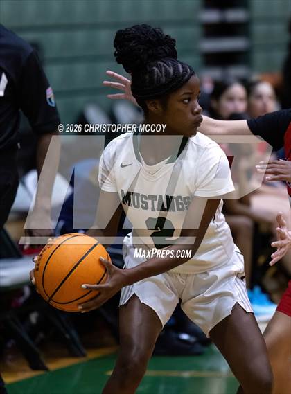 Thumbnail 3 in JV: Manatee @ Lakewood Ranch photogallery.