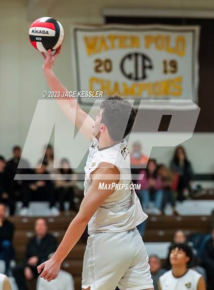 Thumbnail 3 in Loyola @ Crespi photogallery.