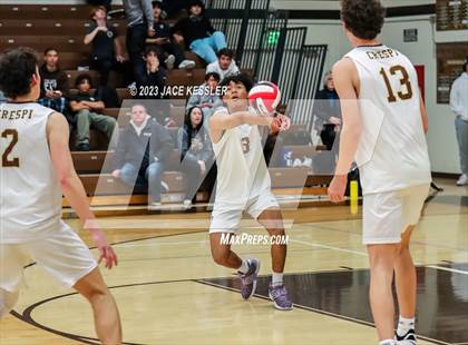 Thumbnail 2 in Loyola @ Crespi photogallery.