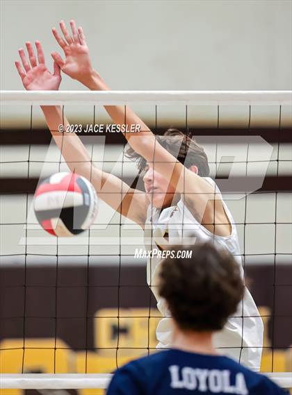 Thumbnail 2 in Loyola @ Crespi photogallery.