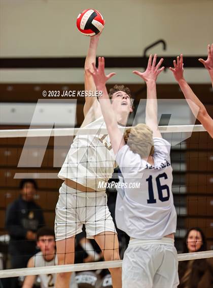 Thumbnail 1 in Loyola @ Crespi photogallery.