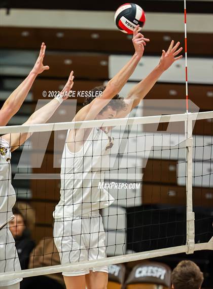 Thumbnail 2 in Loyola @ Crespi photogallery.