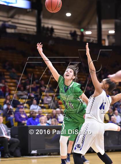 Thumbnail 2 in ThunderRidge vs. Grandview (CHSAA 5A Semifinal) photogallery.