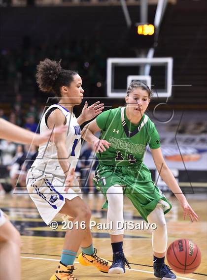 Thumbnail 2 in ThunderRidge vs. Grandview (CHSAA 5A Semifinal) photogallery.