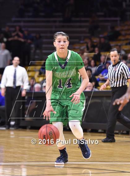 Thumbnail 3 in ThunderRidge vs. Grandview (CHSAA 5A Semifinal) photogallery.