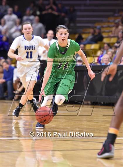 Thumbnail 1 in ThunderRidge vs. Grandview (CHSAA 5A Semifinal) photogallery.