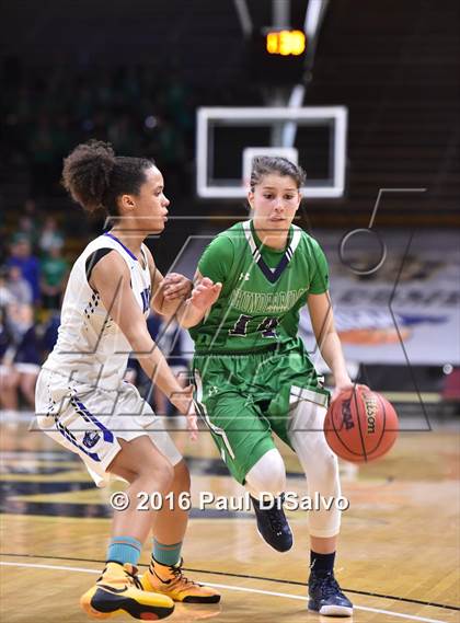 Thumbnail 1 in ThunderRidge vs. Grandview (CHSAA 5A Semifinal) photogallery.