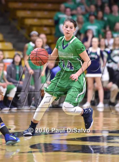 Thumbnail 2 in ThunderRidge vs. Grandview (CHSAA 5A Semifinal) photogallery.