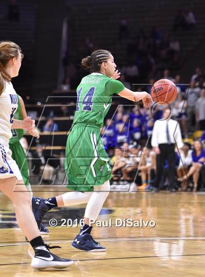 Thumbnail 2 in ThunderRidge vs. Grandview (CHSAA 5A Semifinal) photogallery.