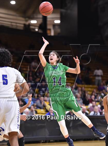 Thumbnail 2 in ThunderRidge vs. Grandview (CHSAA 5A Semifinal) photogallery.