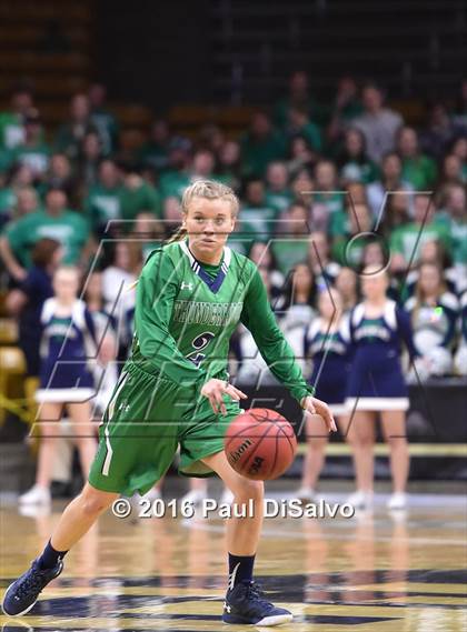 Thumbnail 2 in ThunderRidge vs. Grandview (CHSAA 5A Semifinal) photogallery.