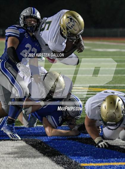Thumbnail 3 in Birdville @ Centennial photogallery.