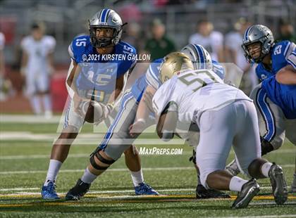 Thumbnail 1 in Birdville @ Centennial photogallery.
