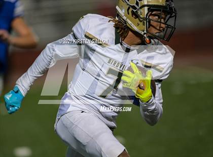 Thumbnail 2 in Birdville @ Centennial photogallery.