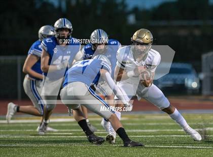 Thumbnail 3 in Birdville @ Centennial photogallery.