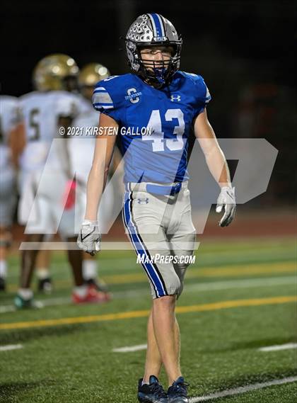 Thumbnail 1 in Birdville @ Centennial photogallery.