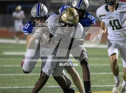 Thumbnail 2 in Birdville @ Centennial photogallery.