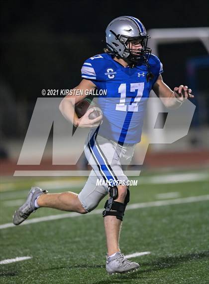Thumbnail 1 in Birdville @ Centennial photogallery.